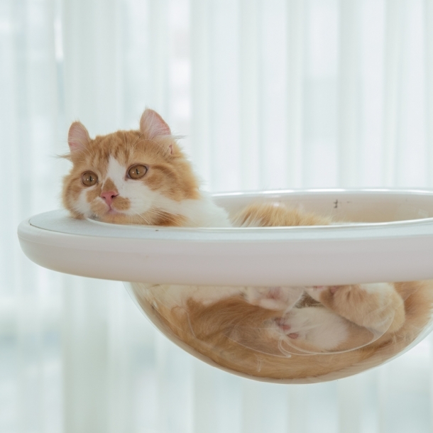 가또페로 화이트폴 옵션 아크릴해먹