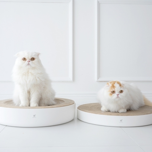 가또페로 롤리팝 스크래쳐 L