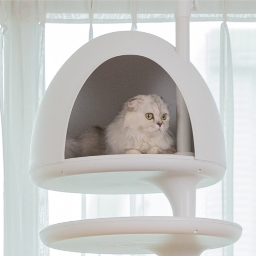 가또페로 화이트폴 옵션 하우스