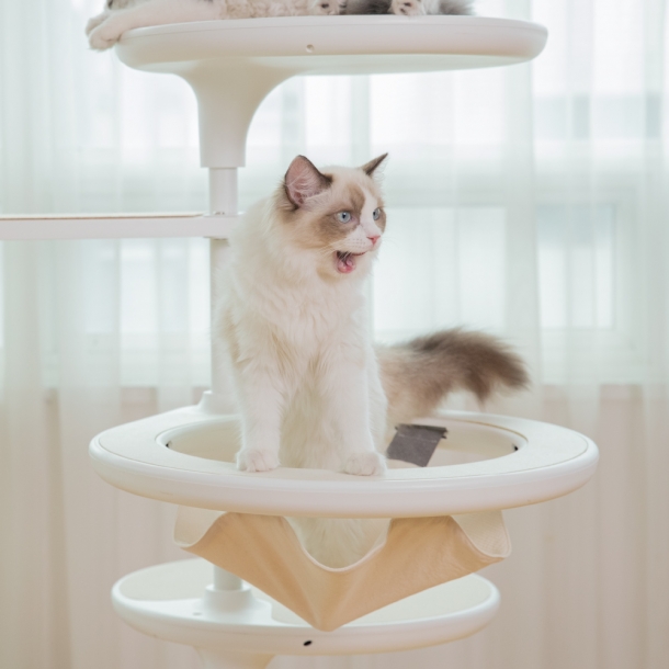 가또페로 화이트폴 옵션 천 해먹