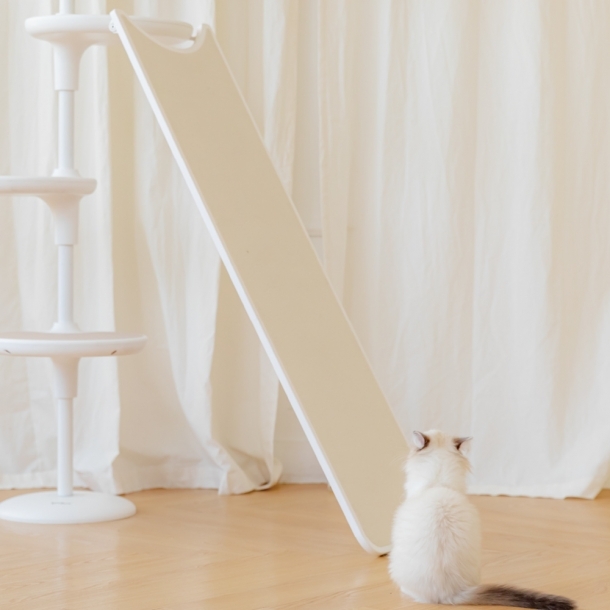 가또페로 화이트폴 옵션 클라이밍보드