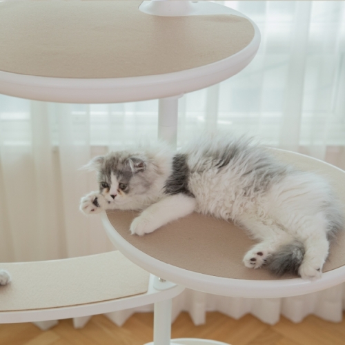 가또페로 화이트폴 옵션 스텝 (S)