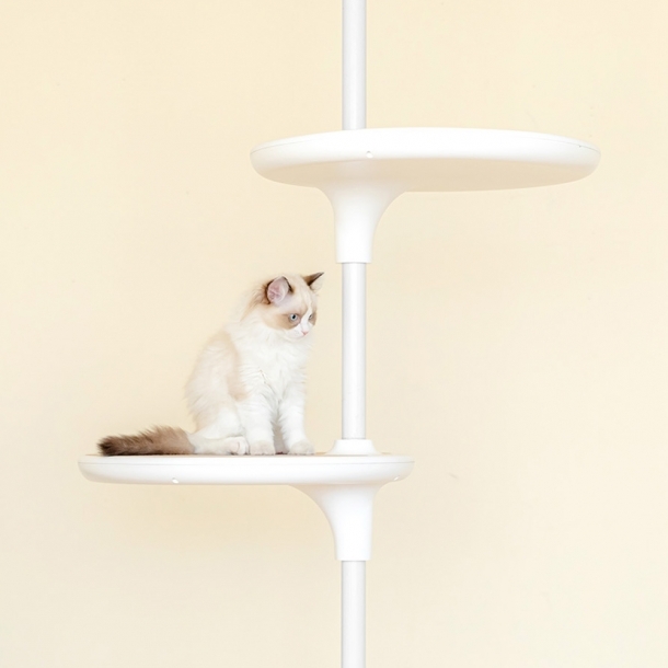 가또페로 화이트폴 옵션 스텝 (L)