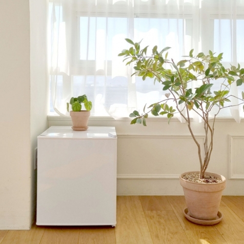 [윈세프] 32L 미니 냉동고 저소음 작은 소형 가정용 음식물쓰레기 음쓰 냉동기 BD-36