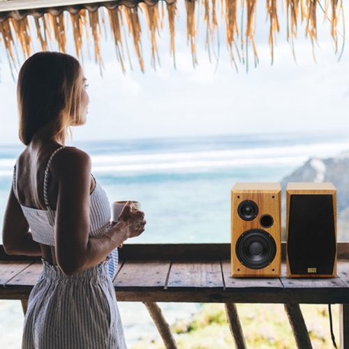 보노보스 2채널 블루투스 북쉘프 PC 데스크탑 TV 거실 컴퓨터 스피커 BOS-H5BT