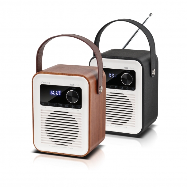 캔스톤 C601 제페토, 블루투스스피커 라디오 데스크테리어 오브제 캠핑 차박 매장