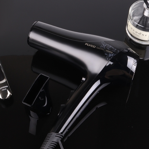 플라이코 FH6266KR 전문가용 2000W 헤어 드라이어