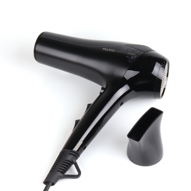 플라이코 FH6266KR 전문가용 2000W 헤어 드라이어