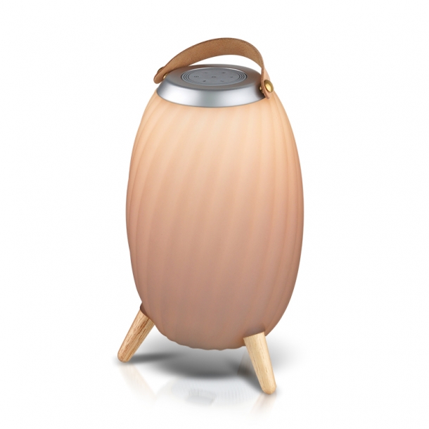 캔스톤 GX-201 블루투스 포터블스피커