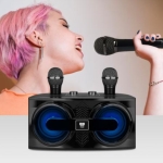 듀얼 무선 블루투스 가정용 노래방 마이크 앰프 나비 NV81-AMP30