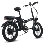 AU테크 스카닉 M20 MAX 850W 배달 접이식 팻바이크 PAS 스로틀 전동 전기자전거 48V 10Ah 블랙(무광)