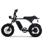 2026년형 AU테크 엑스트랙 몬스터 쿱 팻바이크 자토바이 850W PAS 스로틀 전기자전거 48V 15Ah