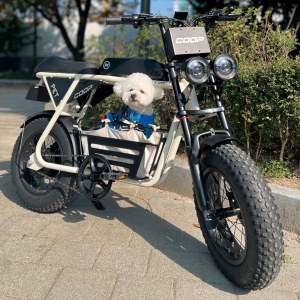 엑스트랙 몬스터 쿱펫 COOP PET 48V 15A 팻바이크 애견동승 자토바이 바구니 전동 전기 자전거
