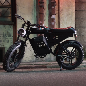 엑스트랙 슈퍼몬스터 48V 20A 팻바이크 자토바이 960W  전동 전기 자전거