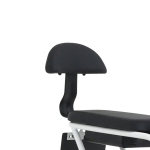 AU테크 스카닉 5X 여성용 2인용 등하원 바구니 전동 전기자전거 36V 5Ah