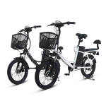 AU테크 스카닉 5X 여성용 2인용 등하원 바구니 전동 전기자전거 36V 5Ah