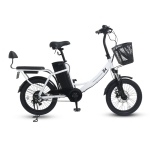 AU테크 스카닉 5X 여성용 2인용 등하원 바구니 전동 전기자전거 36V 5Ah