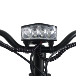 AU테크 스카닉 5X 여성용 2인용 등하원 바구니 전동 전기자전거 36V 5Ah