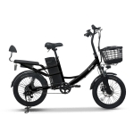 AU테크 스카닉 5X 여성용 2인용 등하원 바구니 전동 전기자전거 48V 10Ah