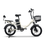 AU테크 스카닉 5X 여성용 2인용 등하원 바구니 전동 전기자전거 48V 10Ah