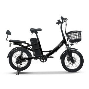 AU테크 스카닉 5X 여성용 2인용 등하원 바구니 전동 전기자전거 48V 10Ah