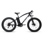 AU테크 스카닉 F100 팻바이크 전기자전거 36V 10Ah