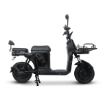 AU테크 에코로 CITY 배달용 전기스쿠터 48V 20A