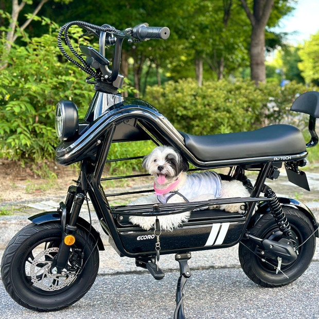 AU테크 에코로 포니 여성 애견 반려견 전기 전동스쿠터 48V 12Ah