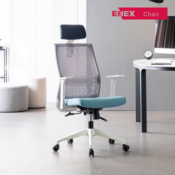 포드L 500 메쉬 요추 시스템의자-화이트바디