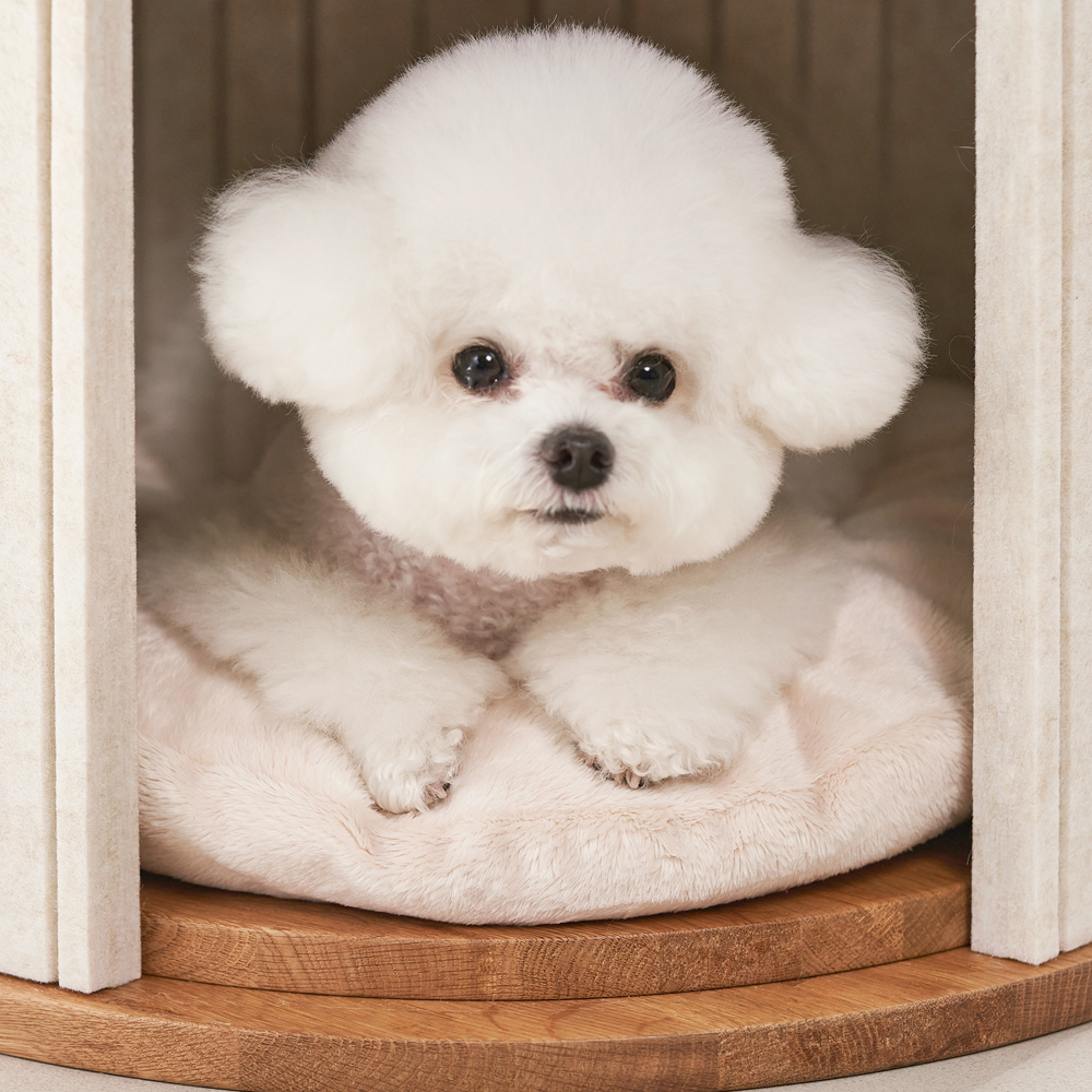 지나티 반려동물 쿠션 싱글 | 베이지,그레이