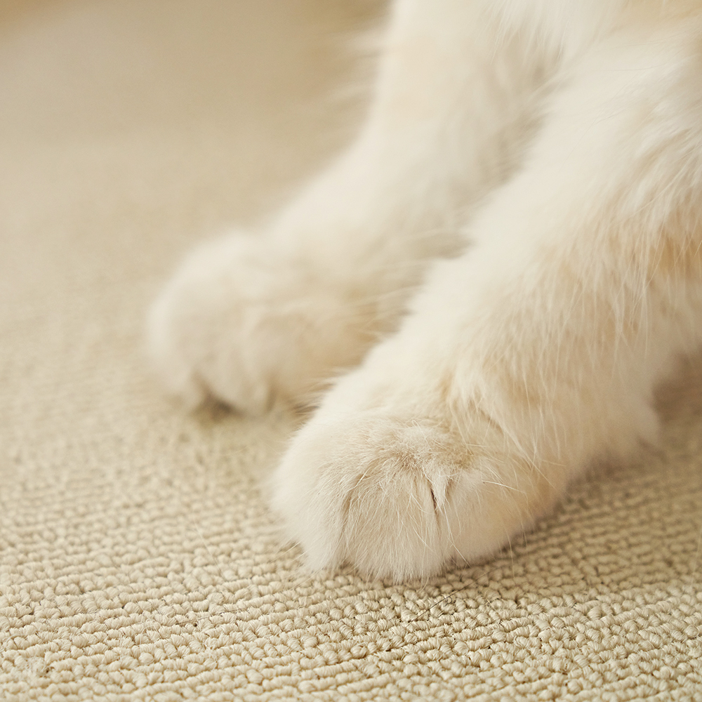 지나티 고양이 스크래쳐 (베이지/브라운)