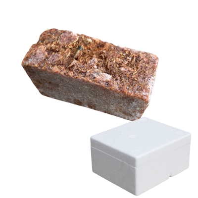 인성 알곤쟁이 1.2kg 밑밥크릴 1박스 10개