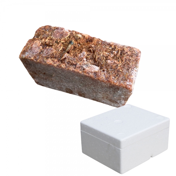 인성 알곤쟁이 1.2kg 밑밥크릴 1박스 10개