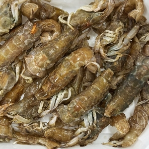 낚시야 쏙 미끼