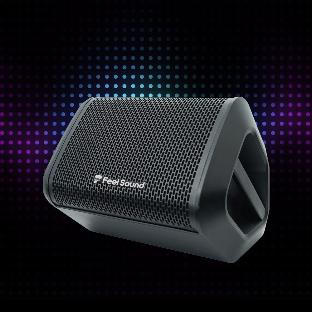 FS-300GA 포터블 이동식앰프 버스킹 휴대용스피커 OTG, 블루투스