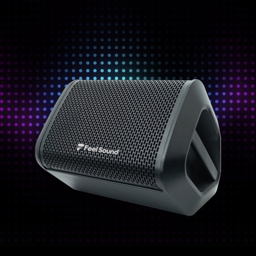 FS-300GA 포터블 이동식앰프 버스킹 휴대용스피커 OTG, 블루투스