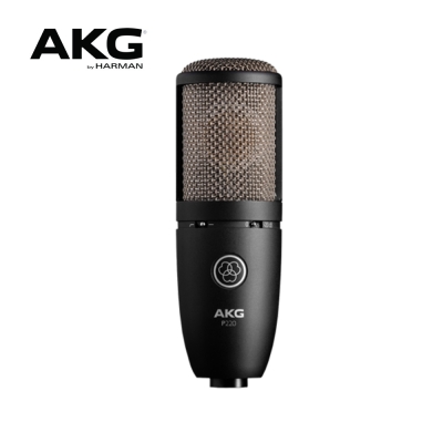 AKG P220 방송 보컬 악기용 컨덴서 레코딩마이크