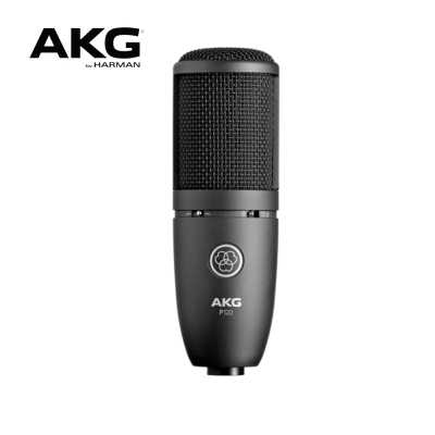 AKG P120 방송 보컬 악기용 레코딩 컨덴서마이크