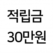 적립금 충전 30만원