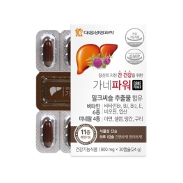 대웅 가네파워