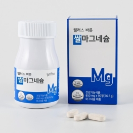웰러스 바른 쌀 마그네슘 850mg x 90정