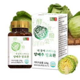 웰러스 진한발효 내몸에 스며드는 양배추 발효환 120g