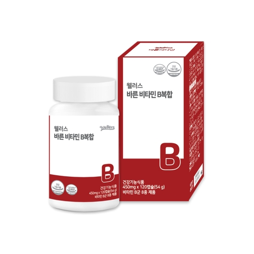 웰러스 바른 비타민 B복합 450mg x 120캡슐