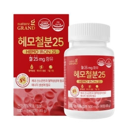 네이처그랜드 헤모철분25 500mg x 90정