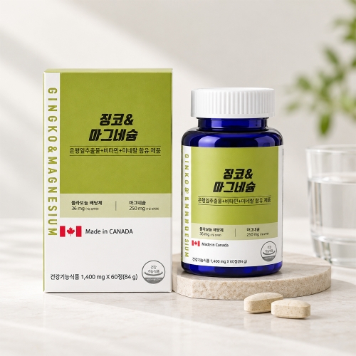 웰러스 징코&마그네슘 1400mg x 60정