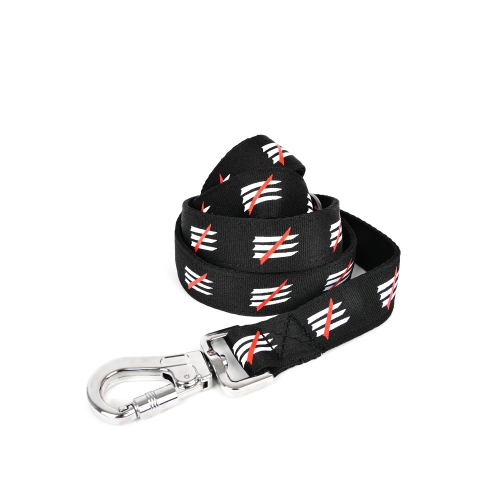 URBAN EXPLORATION LEASH (LD1001)