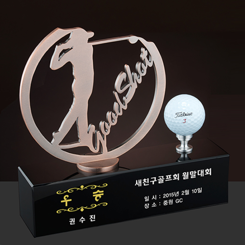 메탈명품트로피 510
