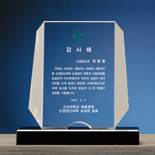 크리스탈상패 242