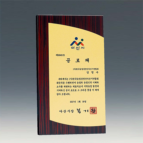 원목상패 411