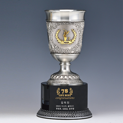 주석트로피 79